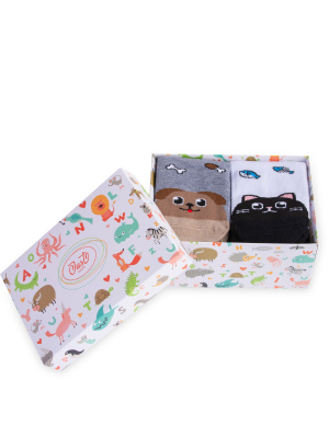 pets_box_1