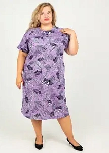 ������ ��������