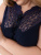 244hv6031_siniy_3 244hv6031_siniy_3