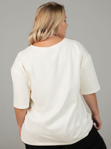 203hl6101_telesniy_4